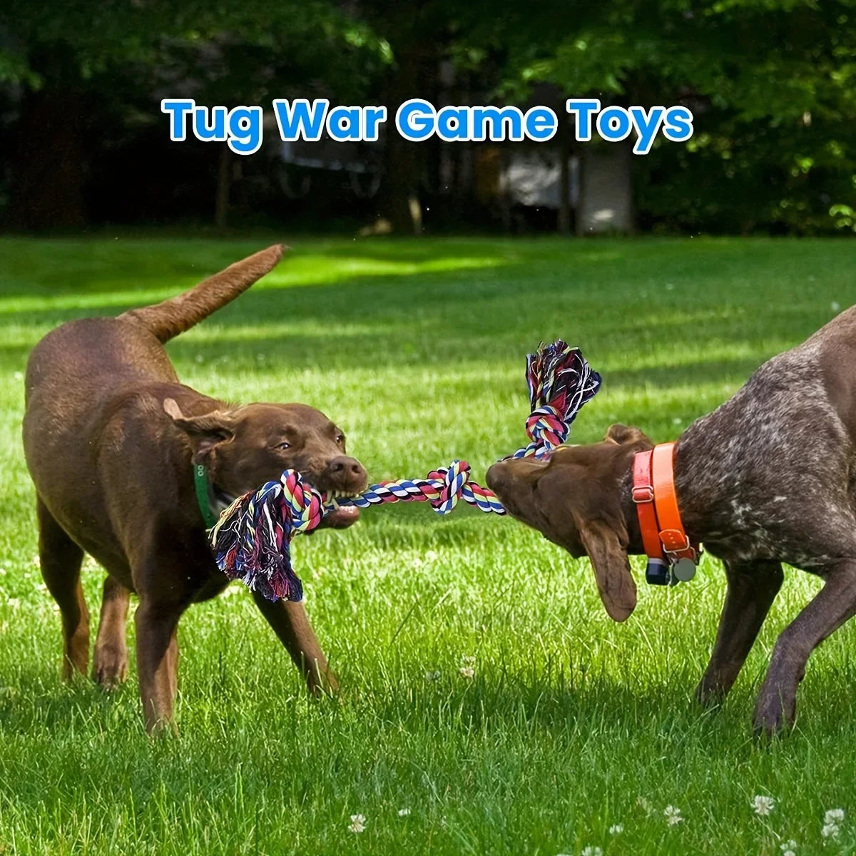 Linen Knot Dog Rope Toy – Durable Tug of War & Chew Toy for Medium & Large Dogs