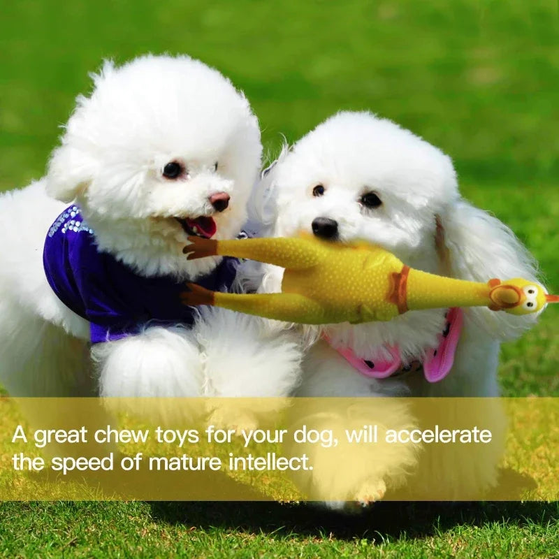 Screaming Chicken Squeeze Toy for Dogs- Large – Squeaky PVC Stress Relief