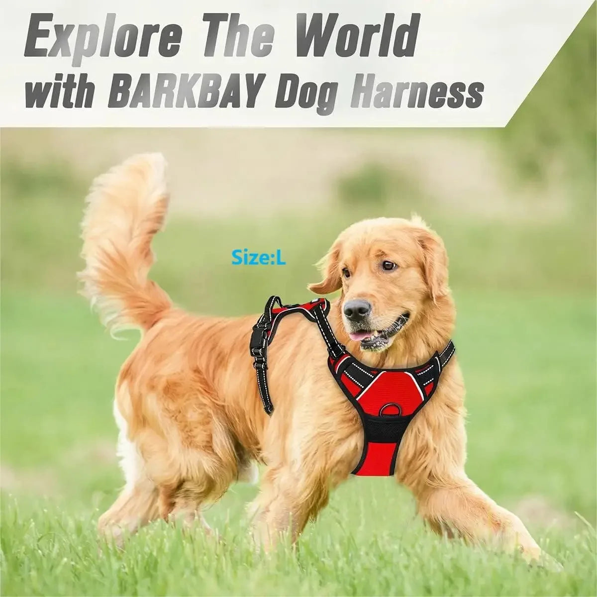 Pet Dog Vest Harness & Collar Set – Adjustable for Small & Medium Dogs