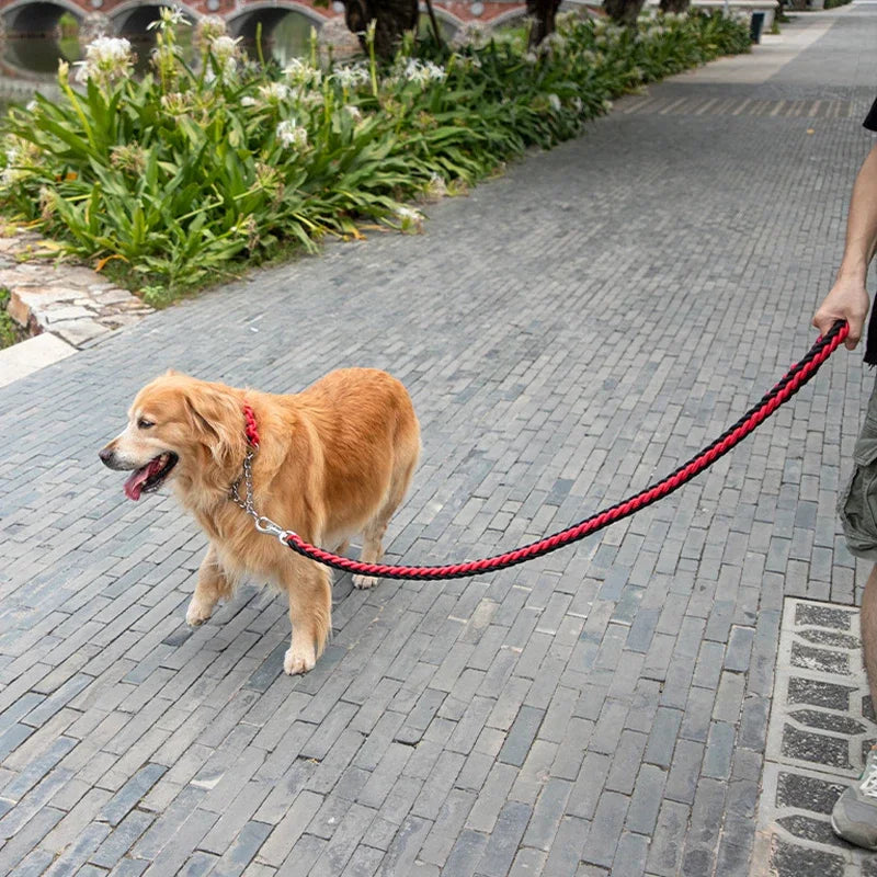 Heavy Duty Braided Nylon Dog Leash – 8-Strand Handmade Lead for Small to XL Dogs