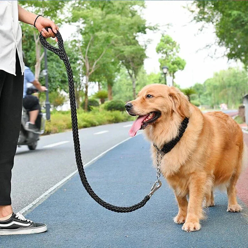 Heavy Duty Braided Nylon Dog Leash – 8-Strand Handmade Lead for Small to XL Dogs