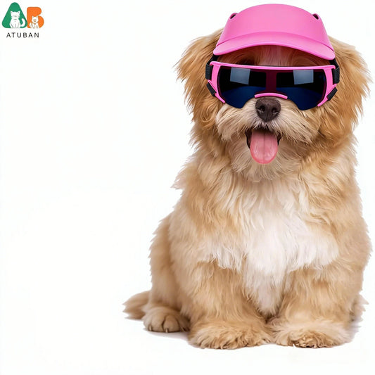 Dog bicycle Helmet & Goggles Set – Adjustable Sun & Wind Protection for Dogs