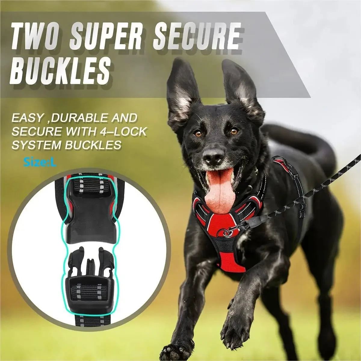 Pet Dog Vest Harness & Collar Set – Adjustable for Small & Medium Dogs