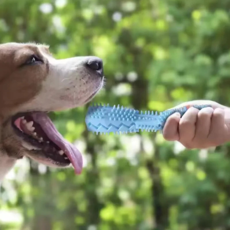 Dog Chew Teether Stick – Bite-Resistant TPR Food Toy with Leak-Proof Design
