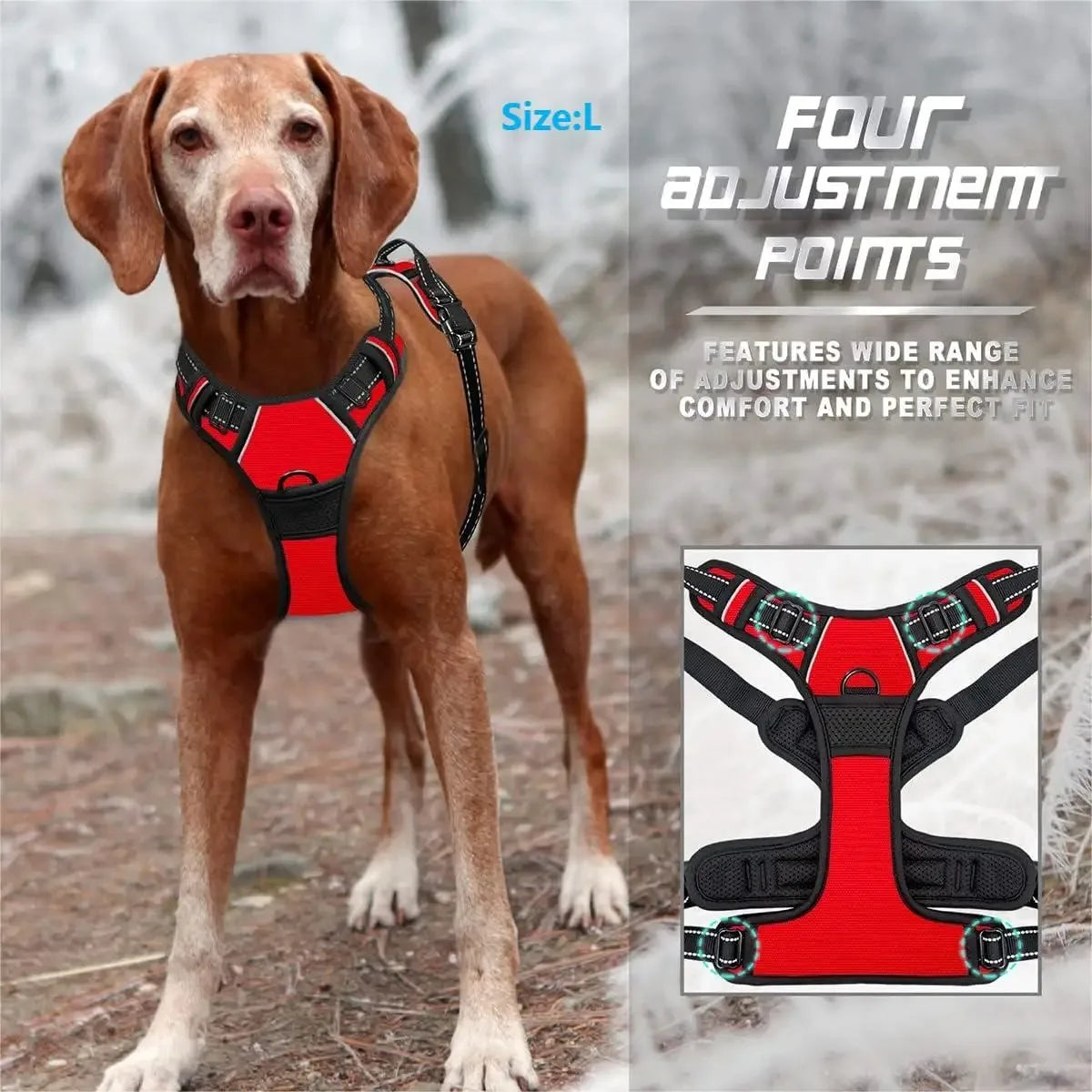 Pet Dog Vest Harness & Collar Set – Adjustable for Small & Medium Dogs