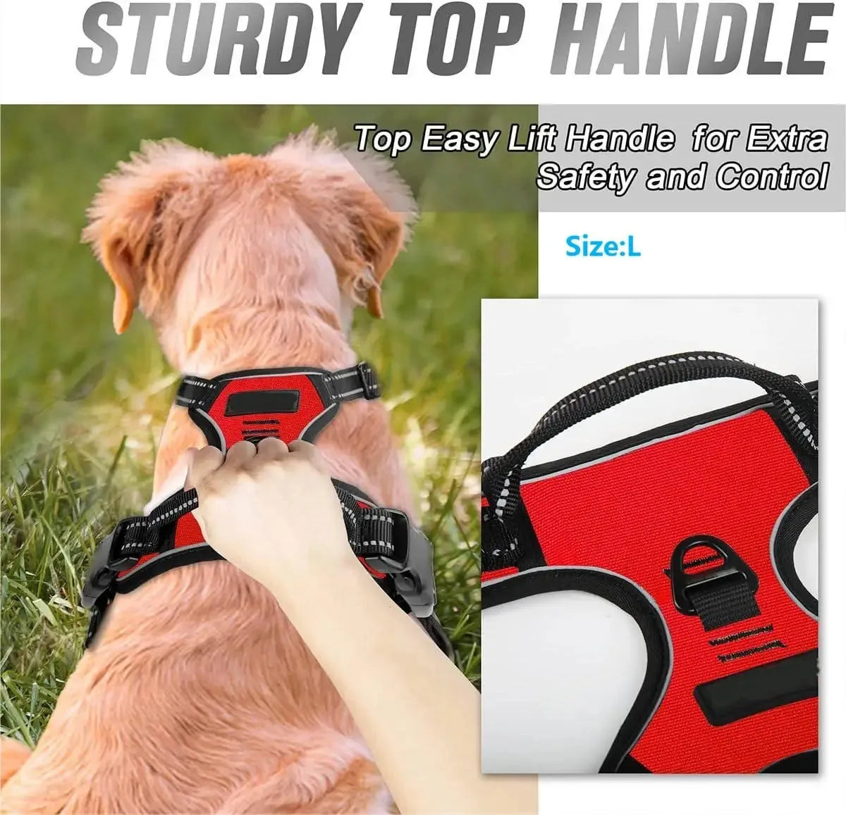 Pet Dog Vest Harness & Collar Set – Adjustable for Small & Medium Dogs
